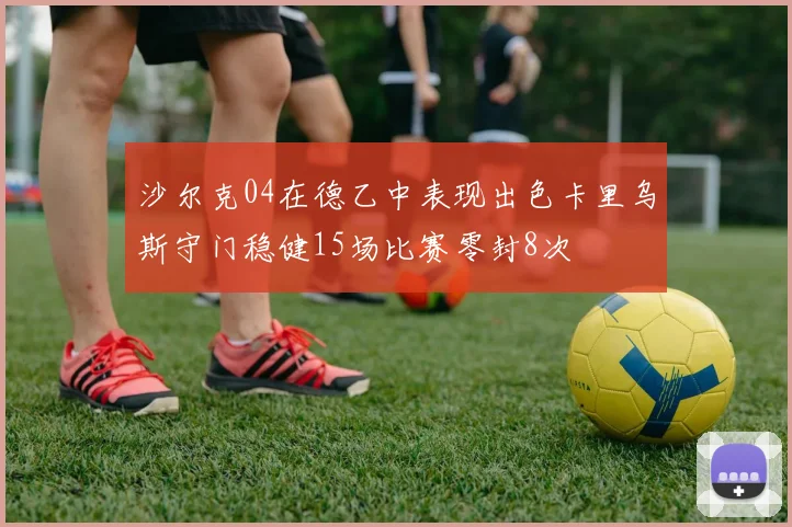 沙尔克04在德乙中表现出色卡里乌斯守门稳健15场比赛零封8次